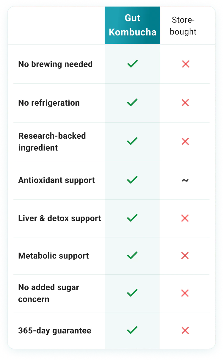 Gut Kombucha vs store-bought kombucha comparison